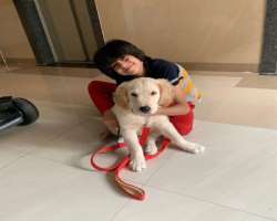 Krish loves to play with his dog when he is at home.
